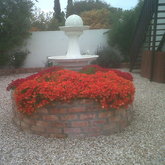 Spring bloom kiekies